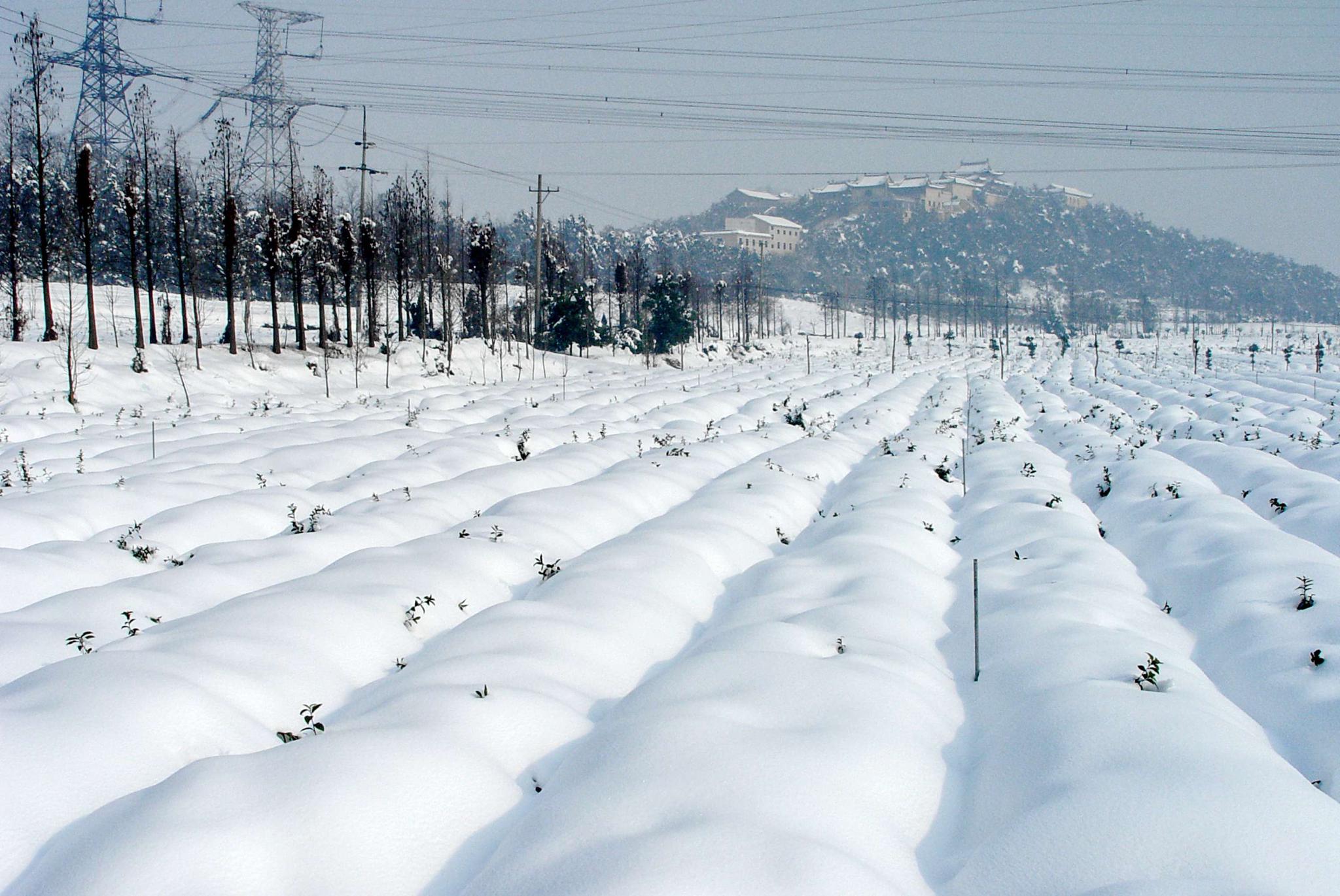 回顾2008年的那场雪(无锡斗山)