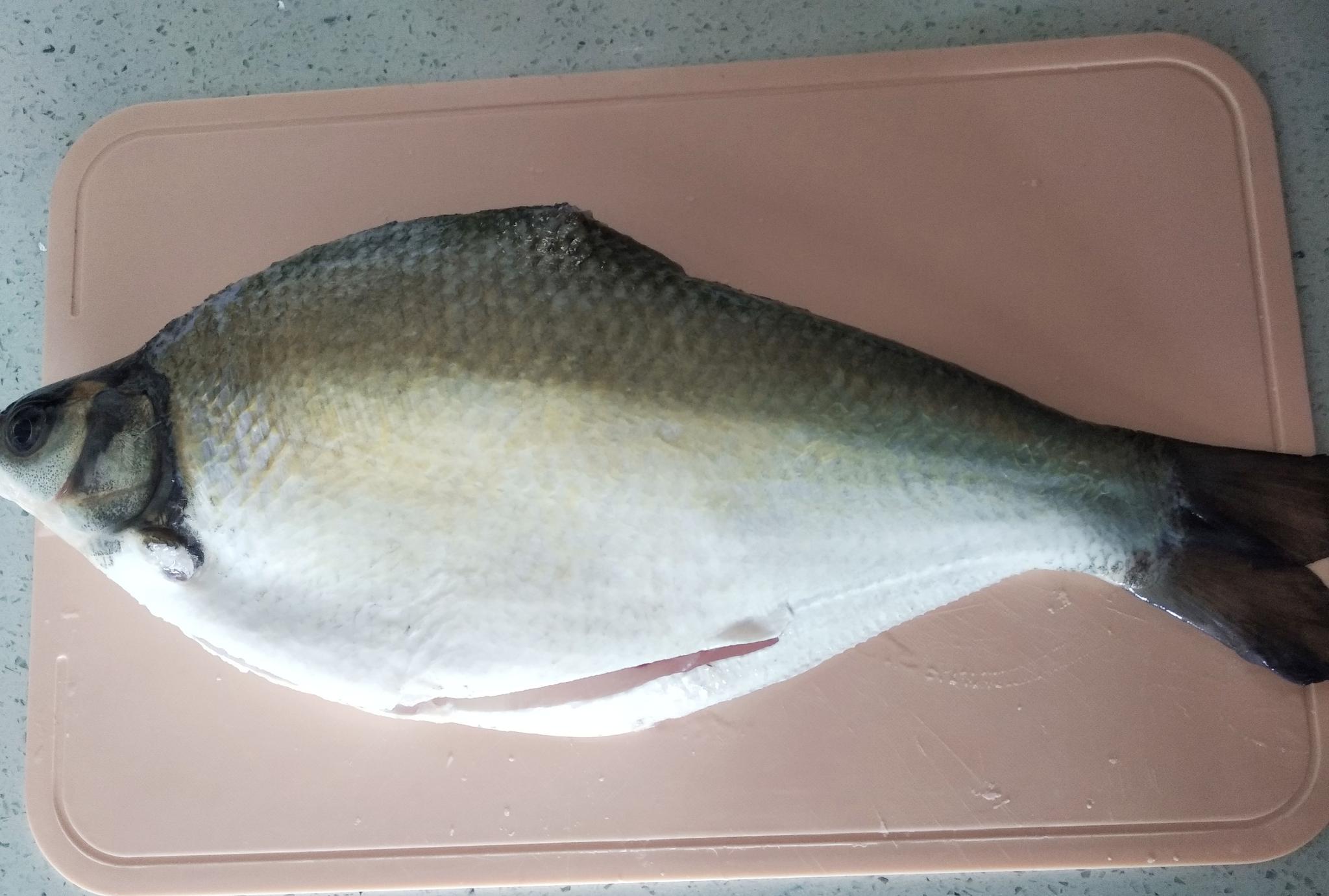 家常红烧扁鱼做法图解_高清图集_新浪网