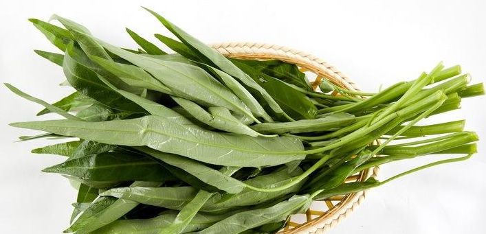 空心菜也有神奇的传说,比干与空心菜的传说