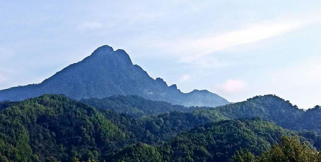 海南岛的象征:五指山_新浪新闻