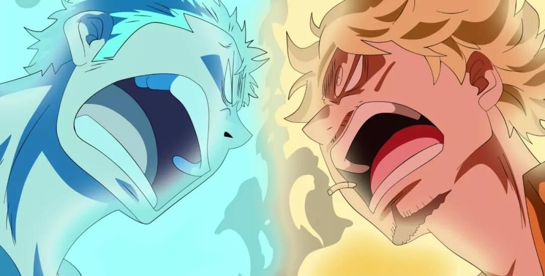 土木菌收图海贼王绿藻头和圈圈眉的那些事