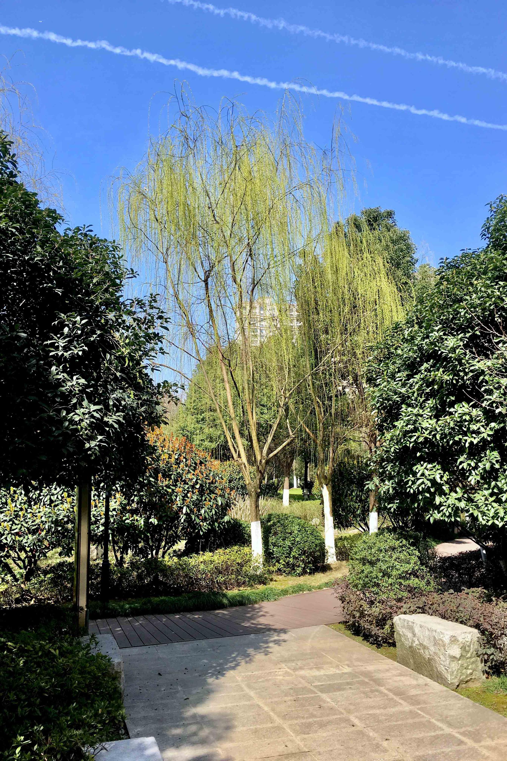 蓝天白云下的王家墩公园【湖北武汉 江汉区】