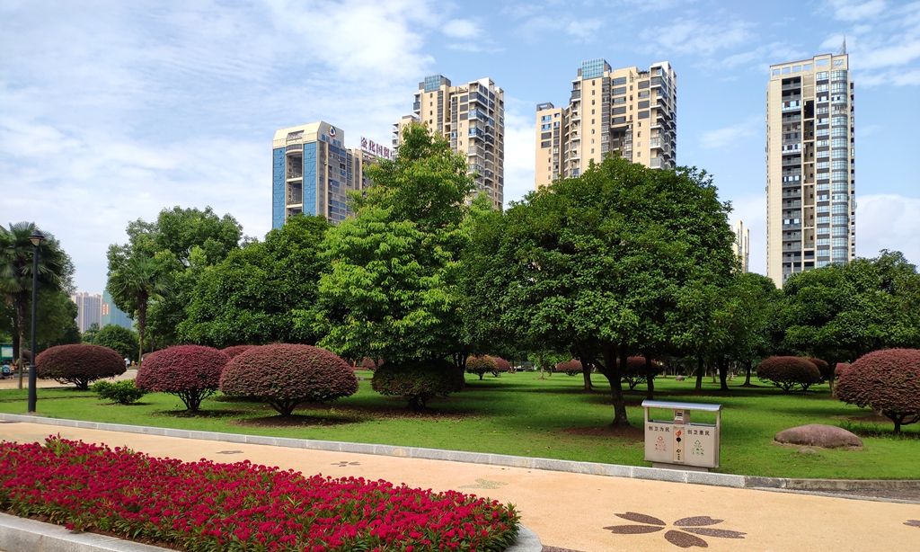 衡阳市船山公园:紫薇花开七月天,风光如画醉游人