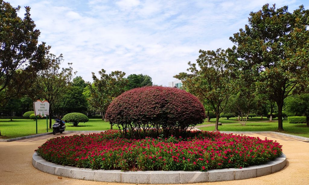 衡阳市船山公园:紫薇花开七月天,风光如画醉游人