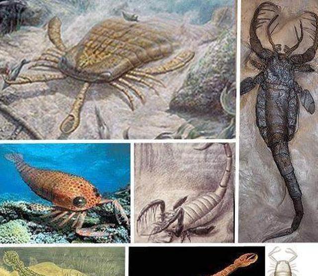 世界十大恐怖生物远古图片