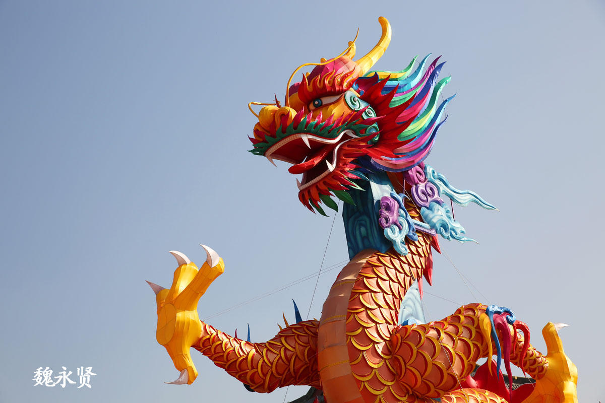 大唐芙蓉园御苑门外龙凤呈祥彩灯惊艳亮相有6层楼高