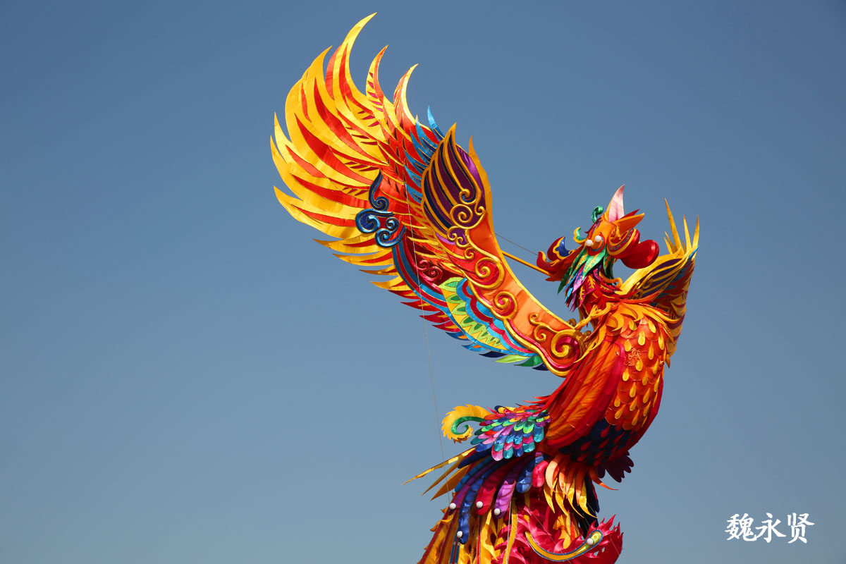 大唐芙蓉园御苑门外龙凤呈祥彩灯惊艳亮相有6层楼高