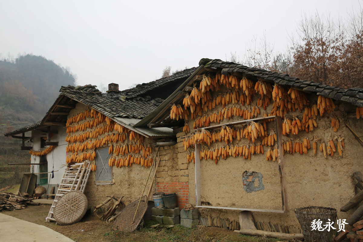 84岁奶奶有5个儿子但喜欢独居土坯房 过年了家里挂满腊肉啥都不缺