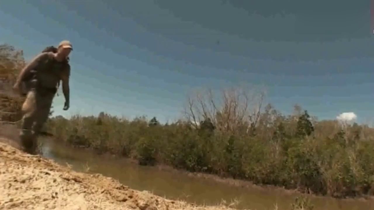 德爷单挑荒野 挑战马达加斯加沿海红树林!