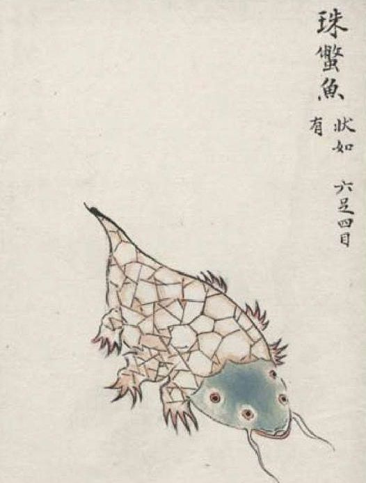 古人笔下山海经里的鱼 人鱼长的像是草鱼 越看越像是一本食谱