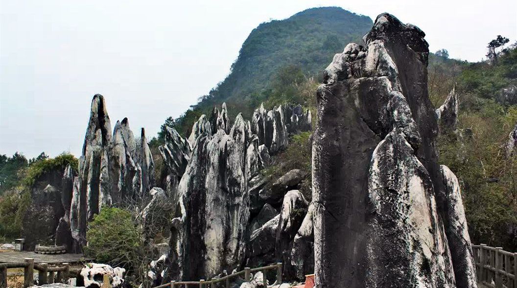 广西这个景区怪石林立,还有很多汉白玉石林,造型各异适合散心