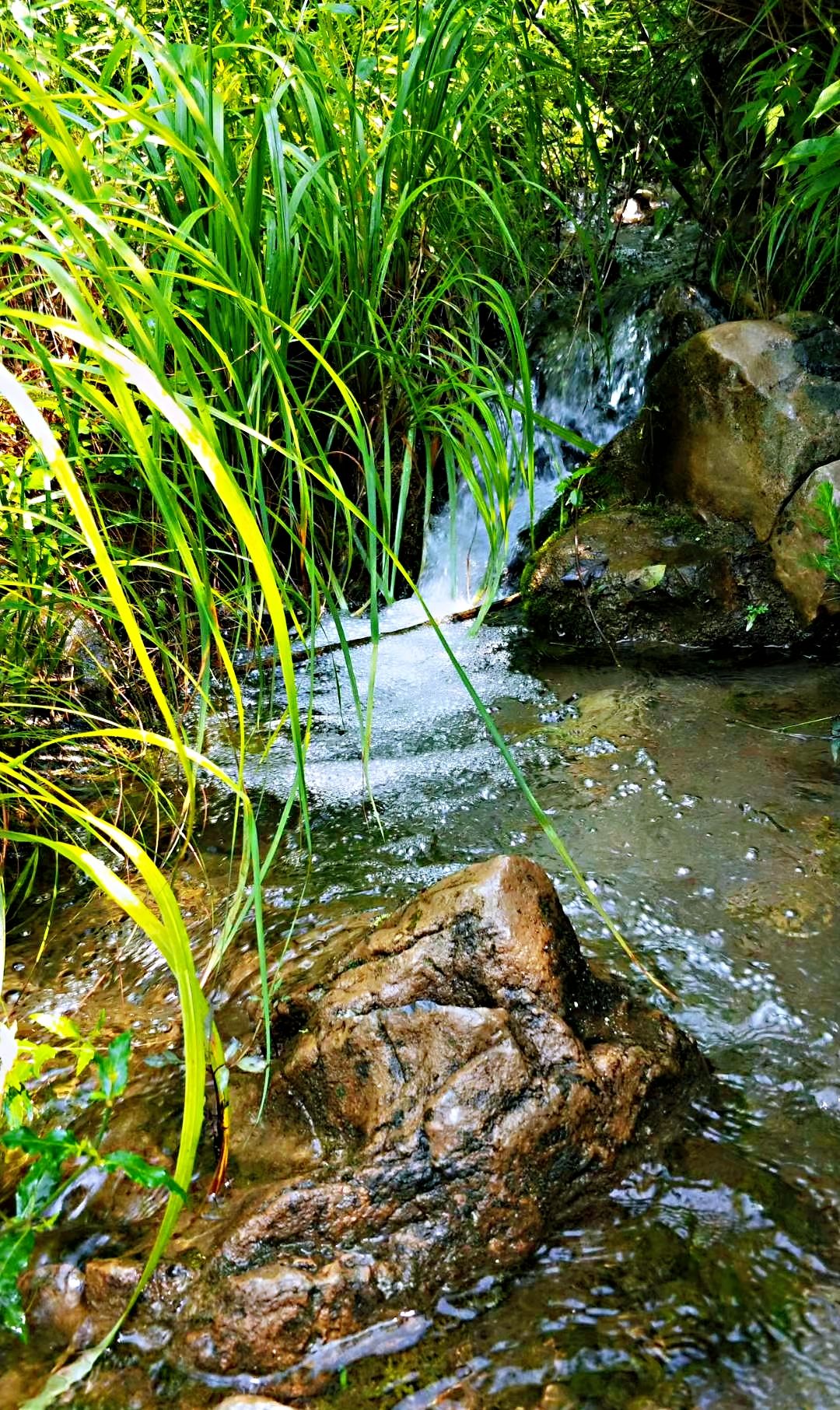 保定全胜峡夏日避暑胜地