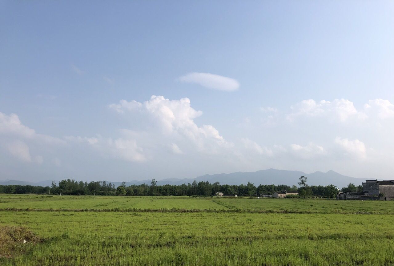 安徽省 黄山市 黟县 碧山村 内有被称为最美乡村书店的碧山书局