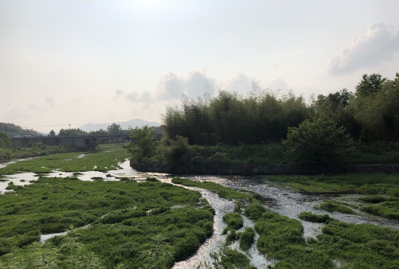 安徽省 黄山市 黟县 碧山村 内有被称为最美乡村书店的碧山书局