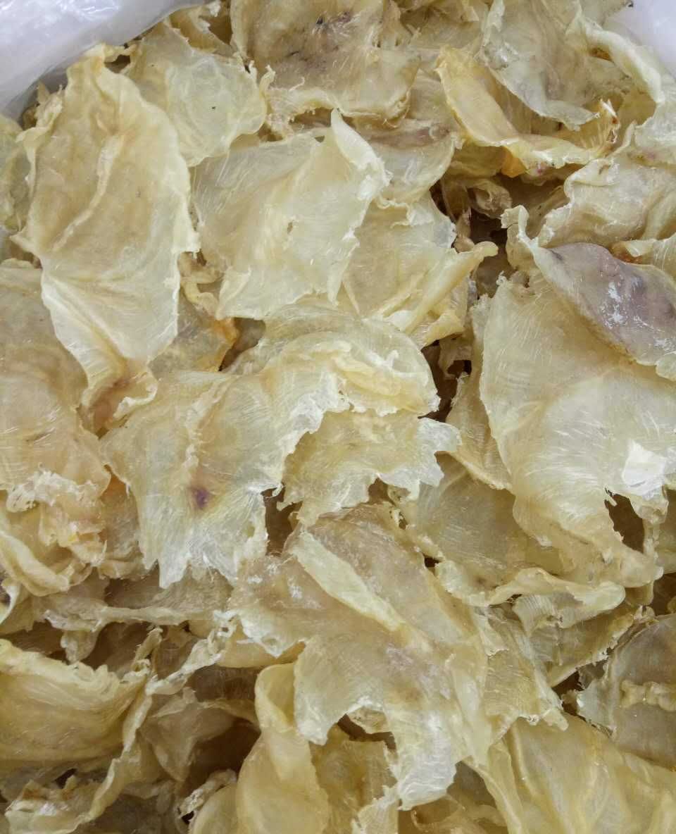 海承行海味:如何选购好的花胶鱼胶?这几点很关键!