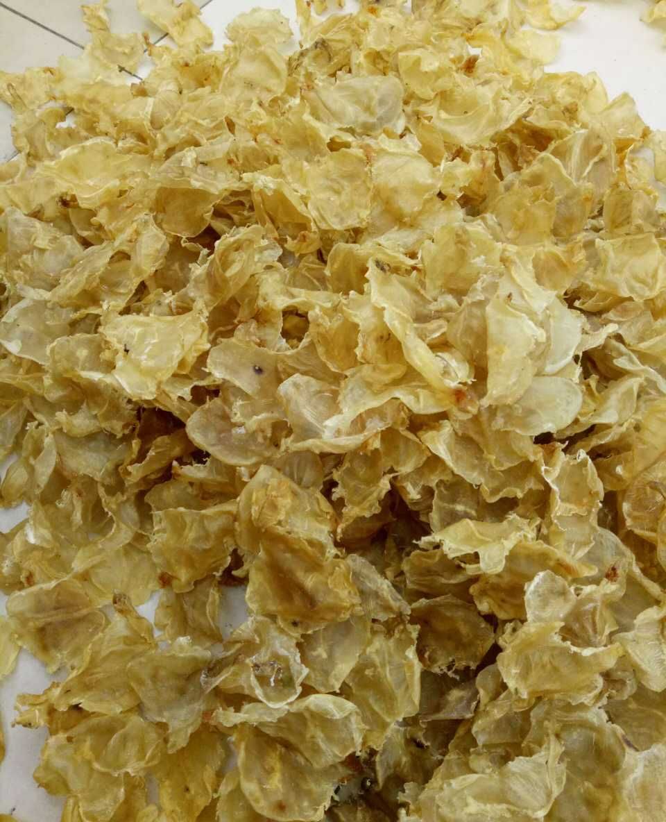 海承行海味:如何选购好的花胶鱼胶?这几点很关键!