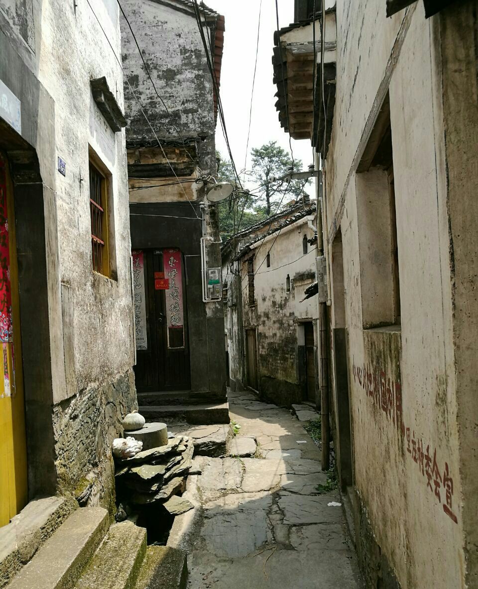 安徽省 黄山市 黟县 碧山村 内有被称为最美乡村书店的碧山书局