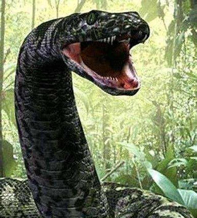最凶恶的远古怪兽!世界十大史前动物!__财经头条
