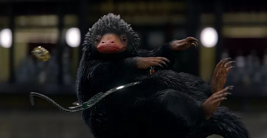 神奇动物 格林德沃之罪即将上映 这些可爱的魔法动物你认识几个 神奇动物 格林德沃之罪即将上映 这些可爱的魔法动物你认识几个