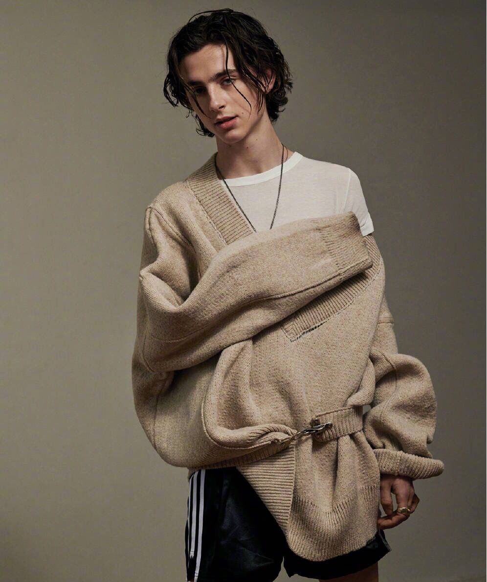 甜茶的"坑",我跳的义无反顾,timothee chalamet高贵的小王子