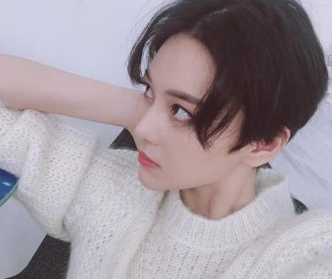 张馨予剪了短发后帅起来何捷都自愧不如