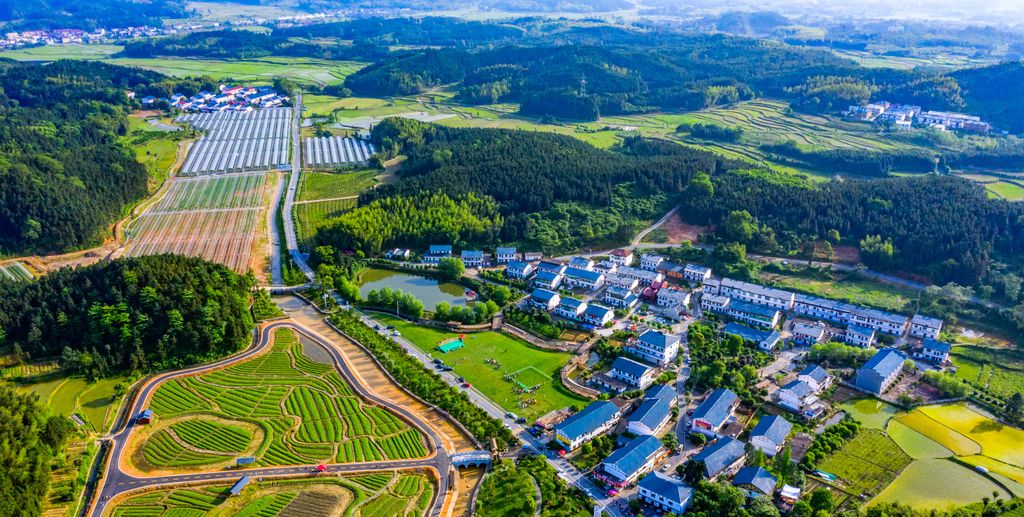 新余市良山镇下保村的风景|良山镇|新余市|风景_新浪新闻