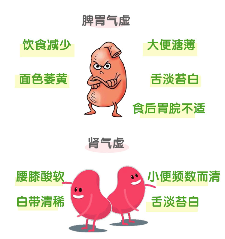 【图说体质】一张图了解“气虚体质”|体质|气虚_新浪新闻