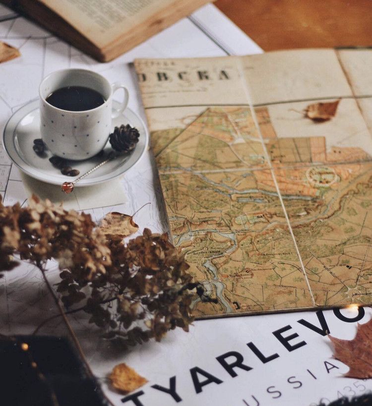 为什么seo优化网站没有收录