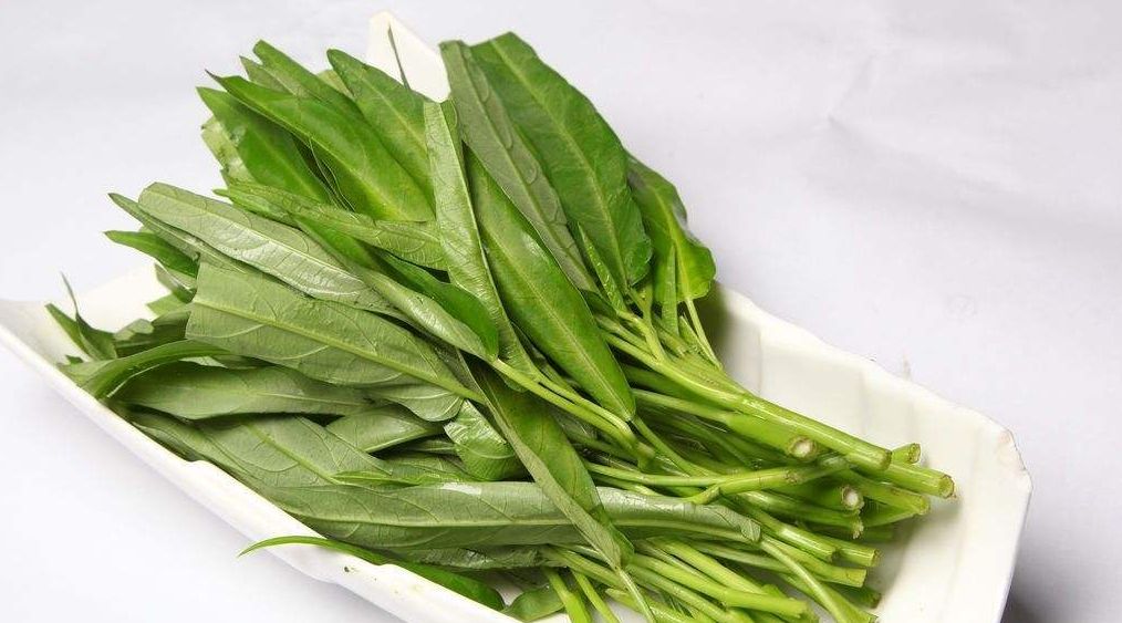 空心菜也有神奇的传说,比干与空心菜的传说