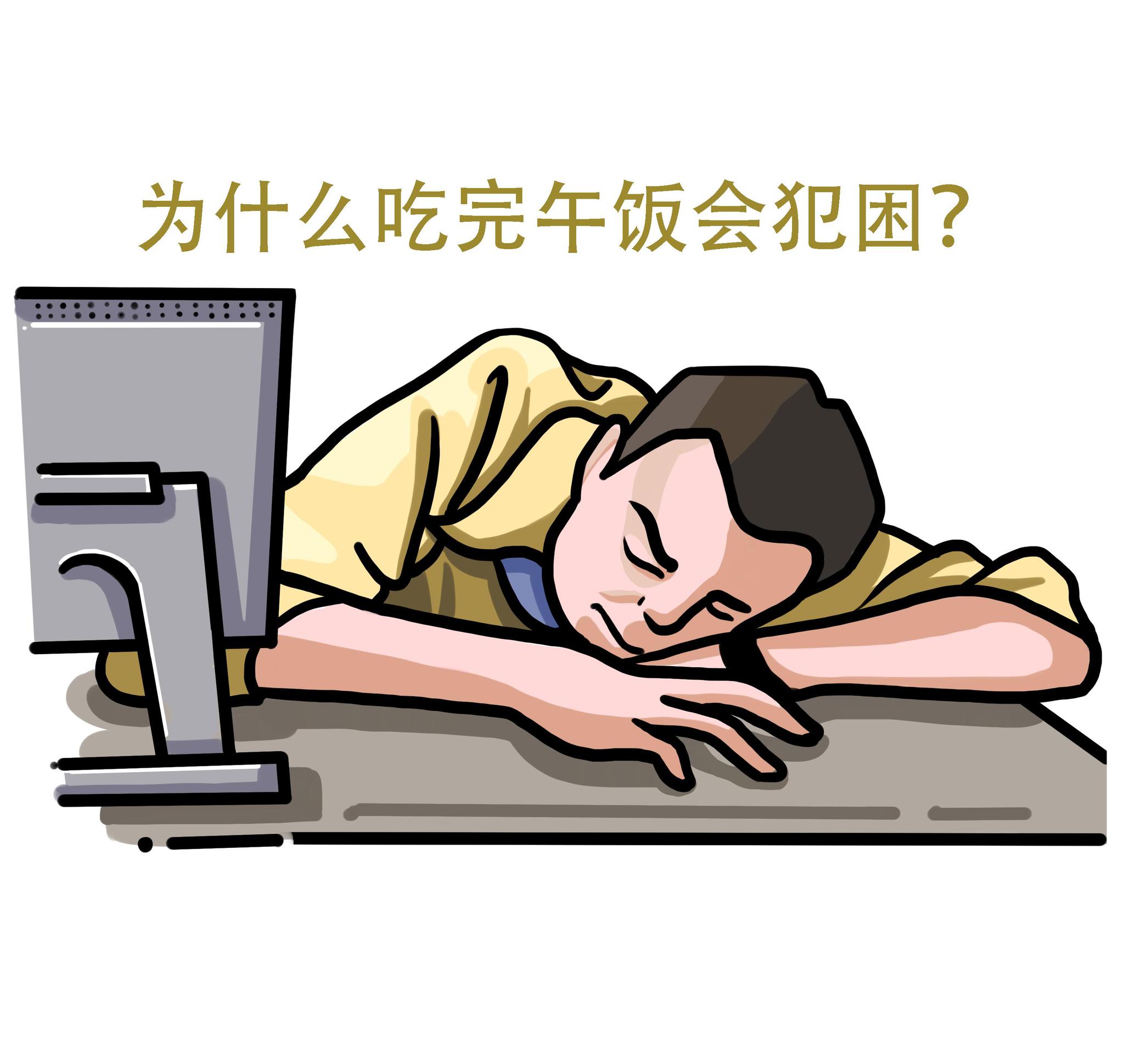 为什么吃完午饭会觉得困是因为吃太饱了吗