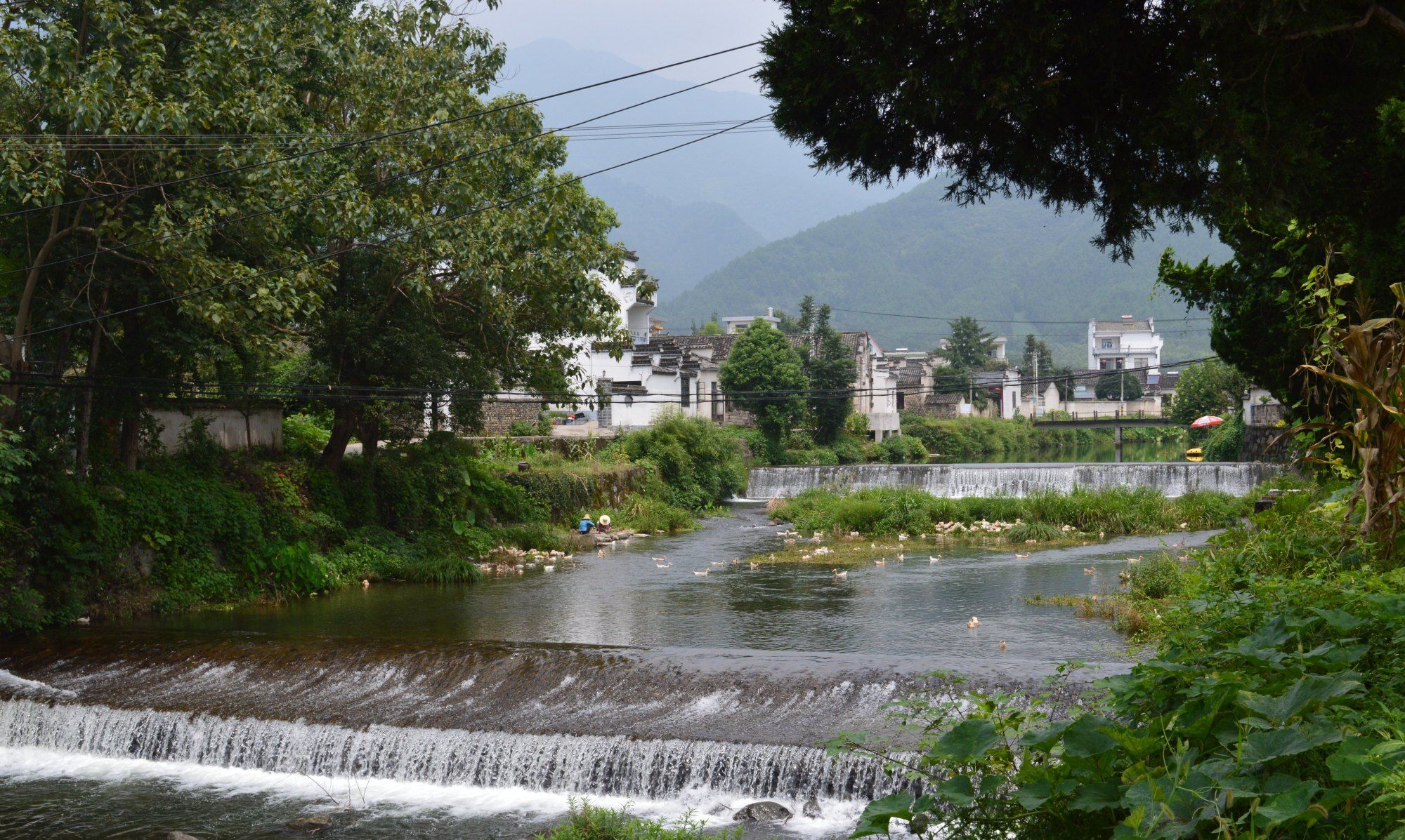 安徽省 黄山市 黟县 碧山村 内有被称为最美乡村书店的碧山书局