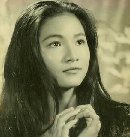 年轻时的郑佩佩有多漂亮呢?看她以前的照片就明白了,真的好美!