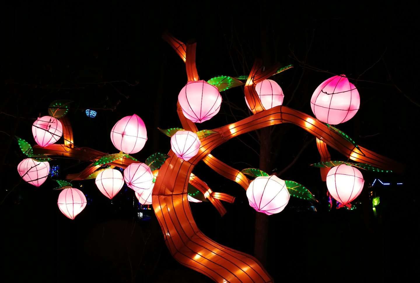 看花灯过大年,北京五洲植物乐园游赏精美花灯!