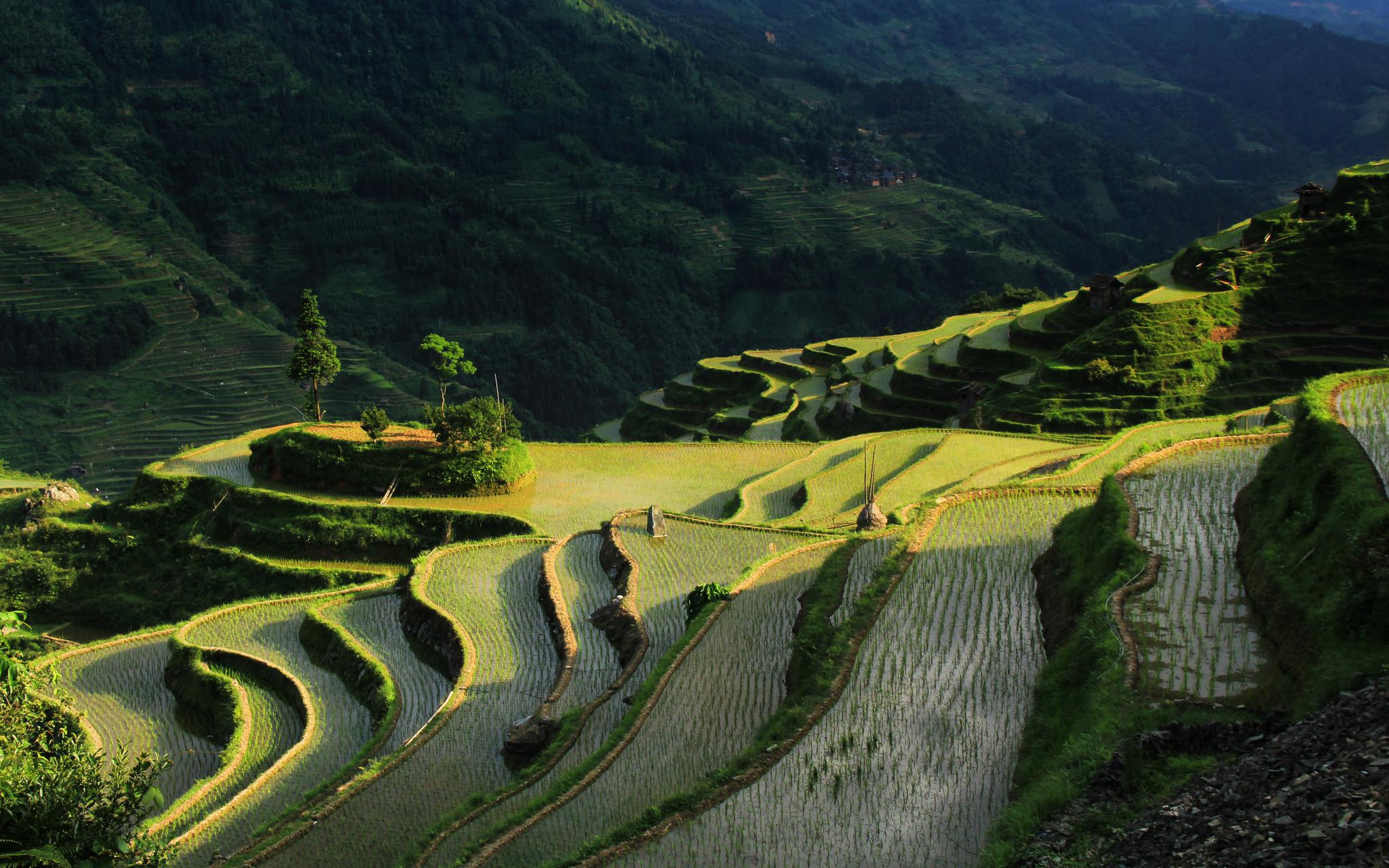 行摄黔东南:美丽梯田,绝美的线条艺术