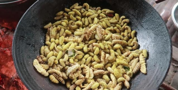 小时候经常在豆叶上看到的豆虫,没想到也是种美味,油炸后很酥脆