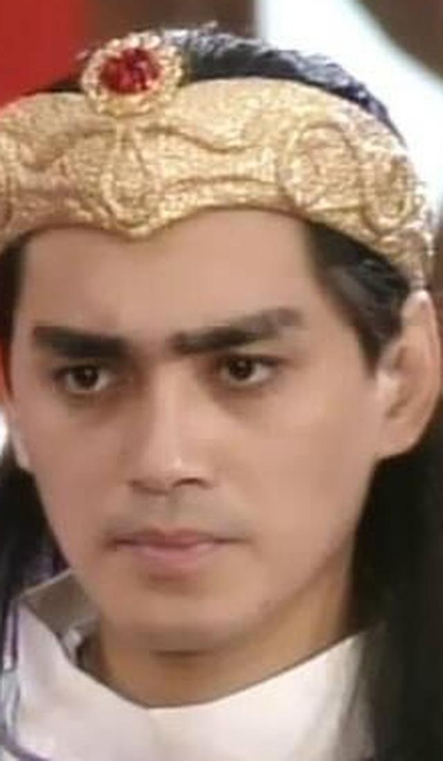 伯邑考              演员         汤镇宗文王姬昌的长子.