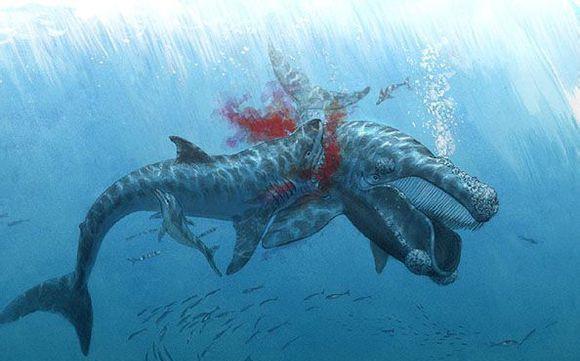 防御逆天的弓头鲸天下无敌,对决最强咬力的巨齿鲨如何?