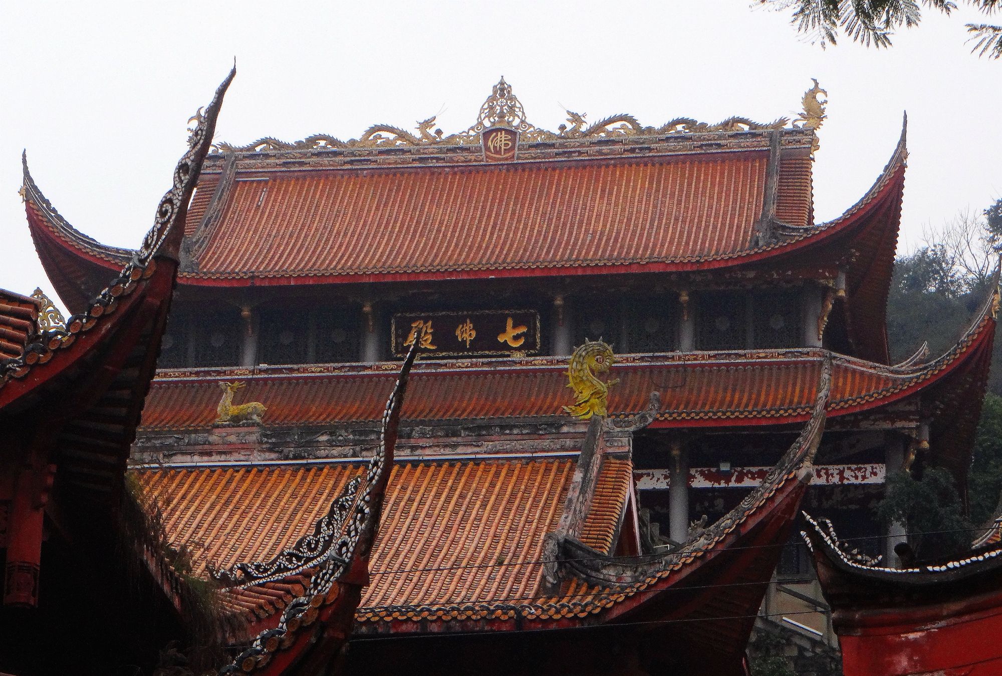 甘祚成自贡之旅:走进城中闹市区的清净圣地-妙观寺最新拍摄