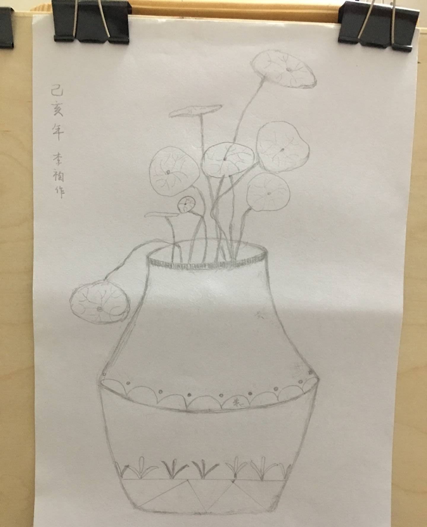 象征坚强包容财源滚滚的铜钱草水粉画作