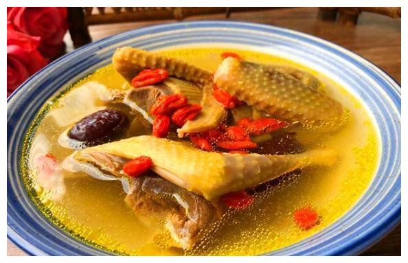 冬天吃鸽子比鸡还要好这样做鸽子汤最滋补汤汁鲜美营养高