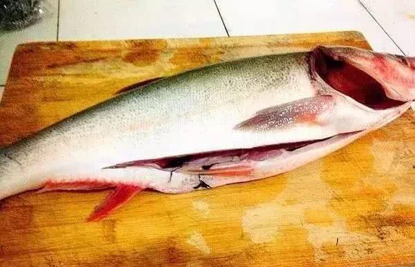 ロイヤリティフリーpollock 魚 最高の花の画像