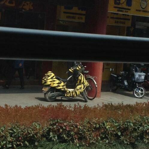 爆笑GIF:超市里爬在购物车上玩滑行