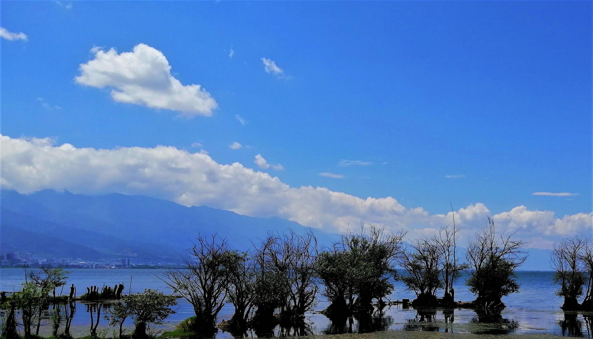 游洱海——赏大理风花雪月