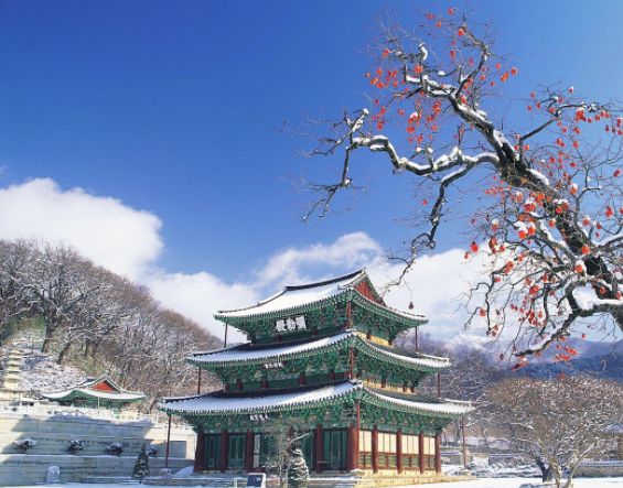 不错的韩国美景,让人流连忘返,真的很漂亮_高清图集_新浪网