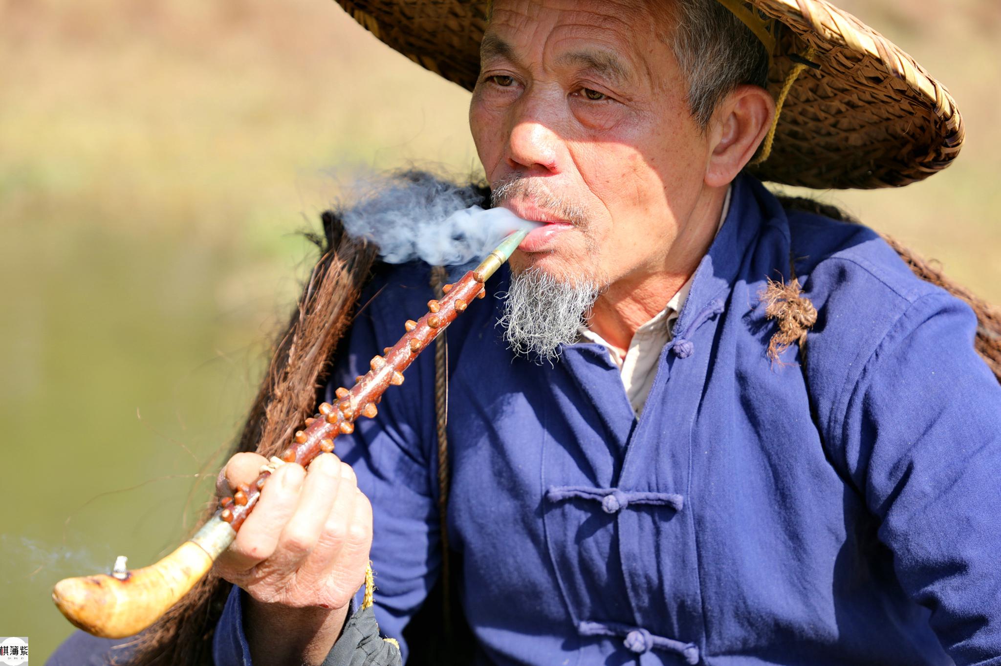 64岁阿牛哥训练水牛走猫步月入3万,游客:维密天使情何以堪?