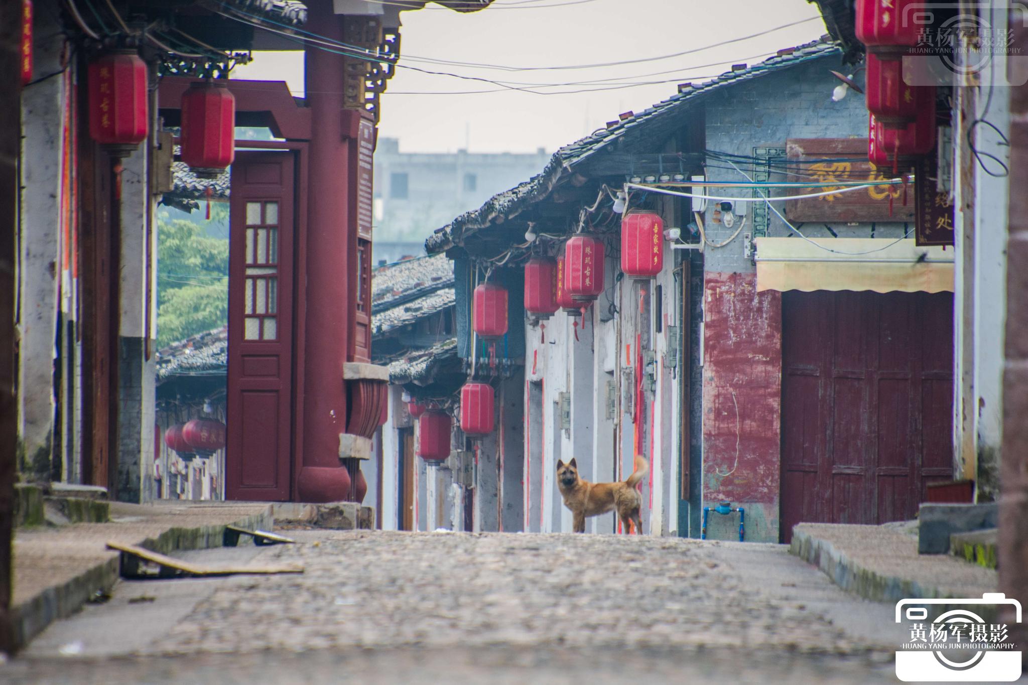 衡阳老街古巷逛法指南及深度探访秘诀🔥