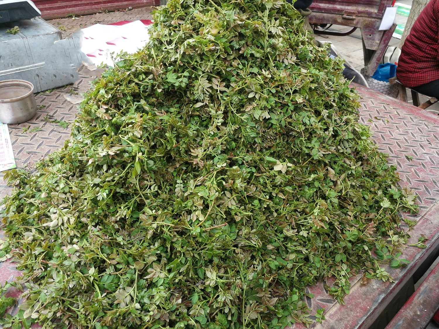 一种树上芽菜油炸了比香椿槐花好吃很多人没尝过