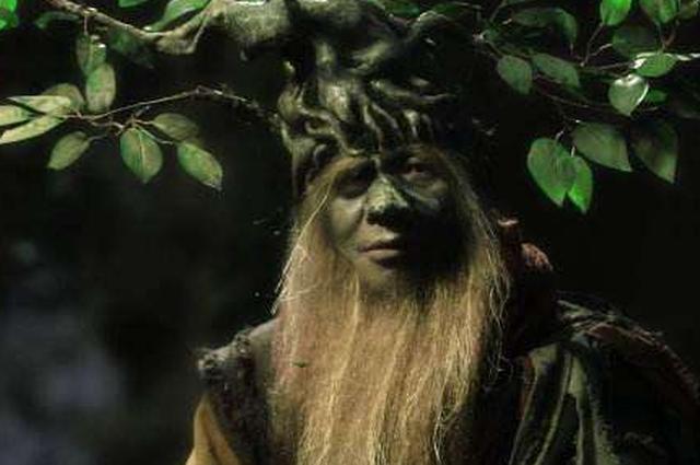 西游记中,荆棘岭的树精并没伤害唐僧,为何惨遭孙悟空灭门杀害?