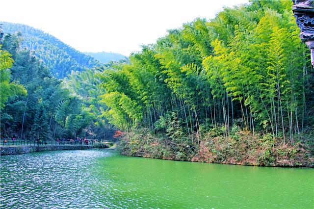 安徽皖南隐藏着一个竹海,曾在这里拍电影,春天美如仙境