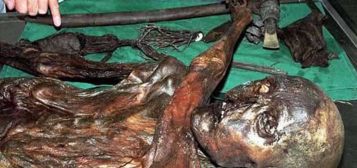 奥茨冰人|人种|人类_新浪新闻